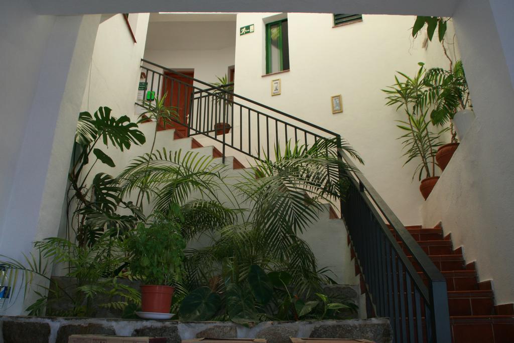 La Palma Hostel By Pension Central Fuencaliente de la Palma Exteriör bild